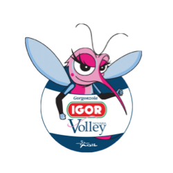 igor-volley